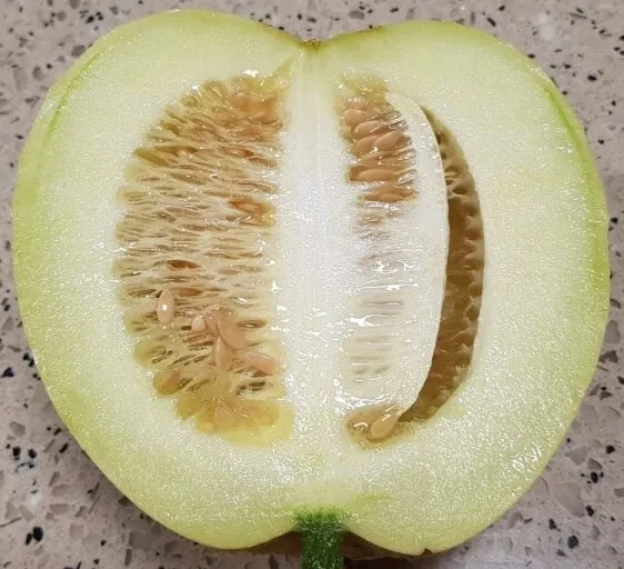 아는 사람 거의 없고 대부분 못먹어본 레전드 과일