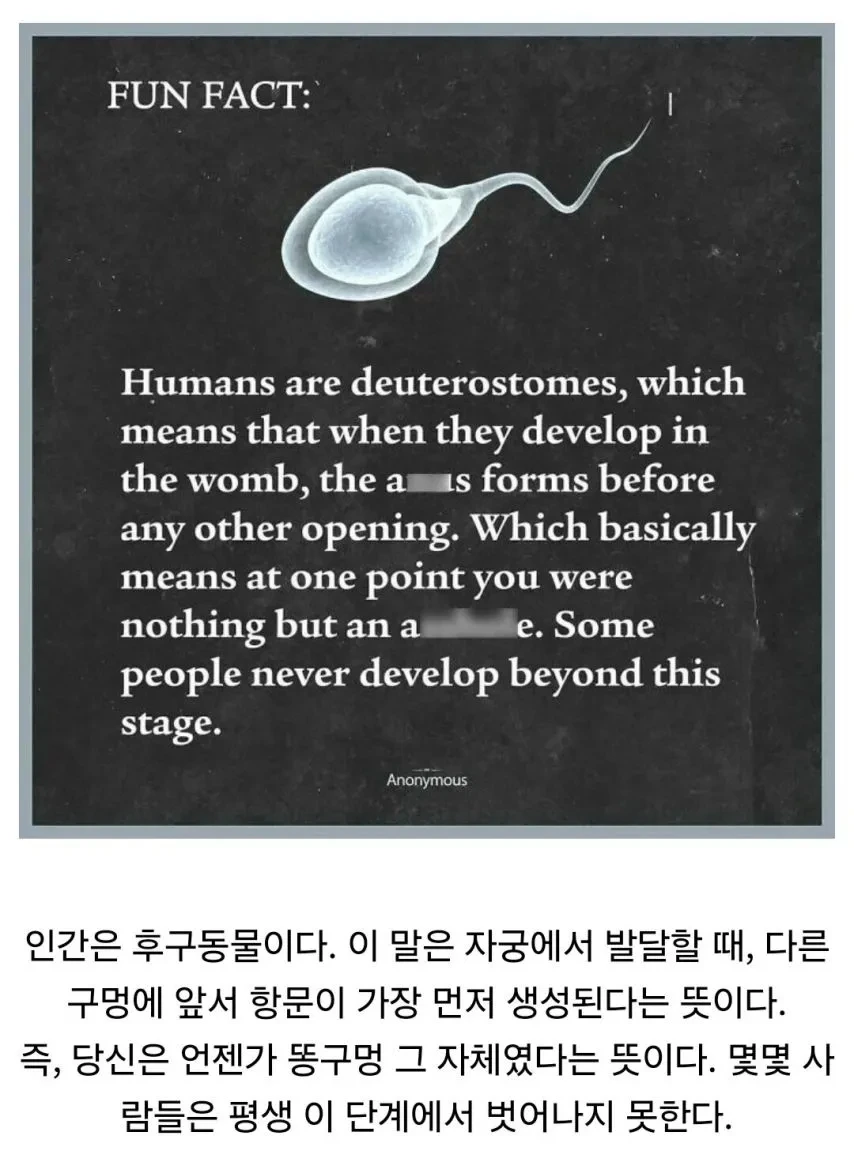 인간에게 가장 먼저 생기는 구멍