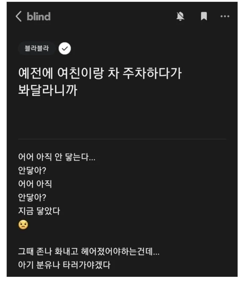 여친한테 주차 봐달라니까