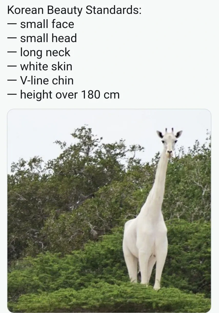 한국 미의 기준이라고 20만 좋아요 받은 해외트윗