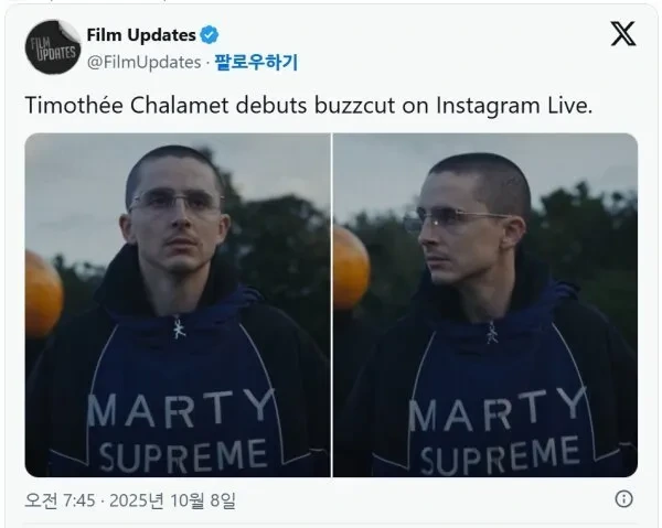 머리빨이었다는 티모시 샬라메