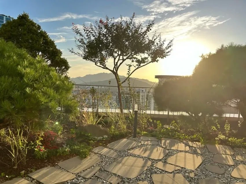 매물로 잘 안나온다는 타워팰리스 테라스 세대.jpg