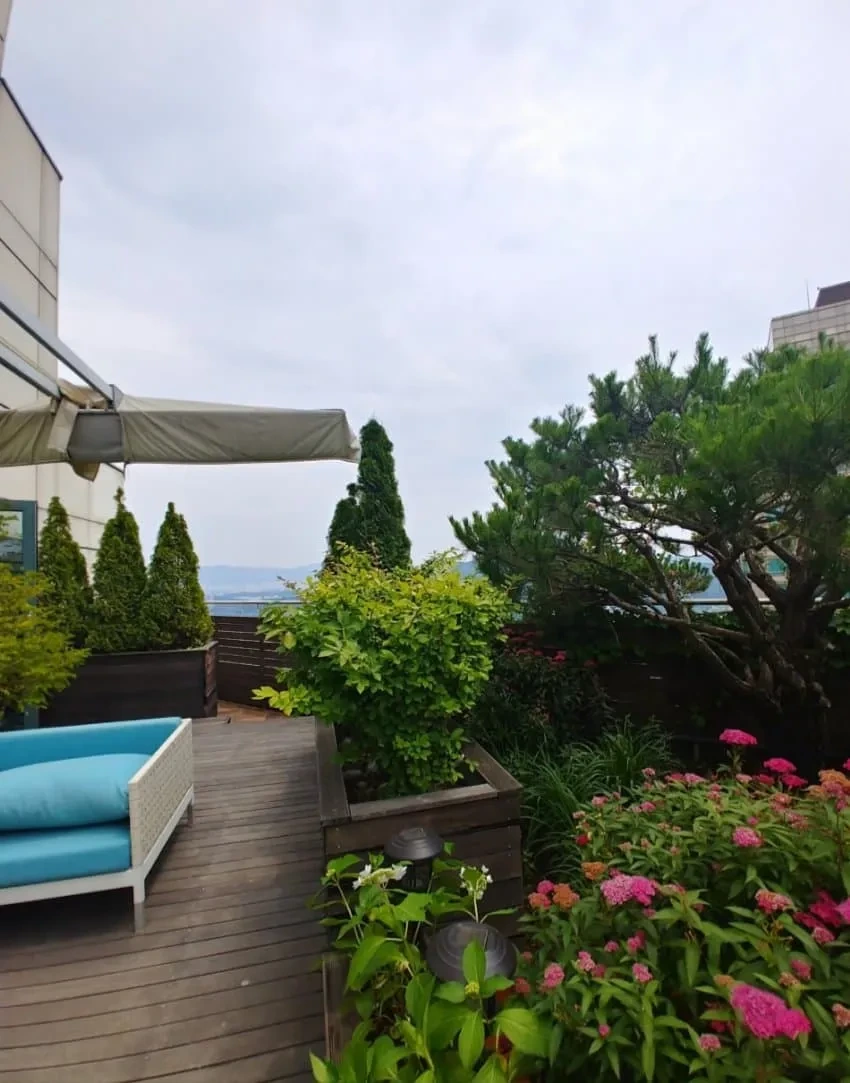 매물로 잘 안나온다는 타워팰리스 테라스 세대.jpg