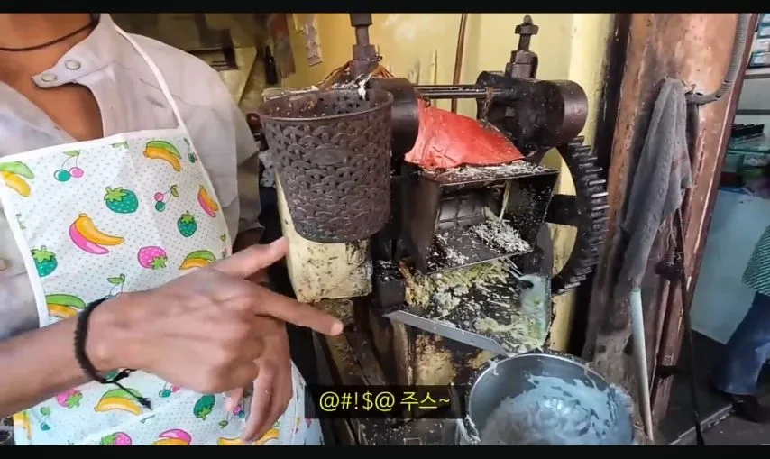 여행 유튜버 누나의 인도 길거리 음식 체험