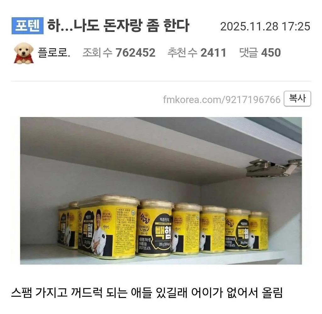 끝까지 보고나면 소름돋는 빽햄 부대찌개 인증