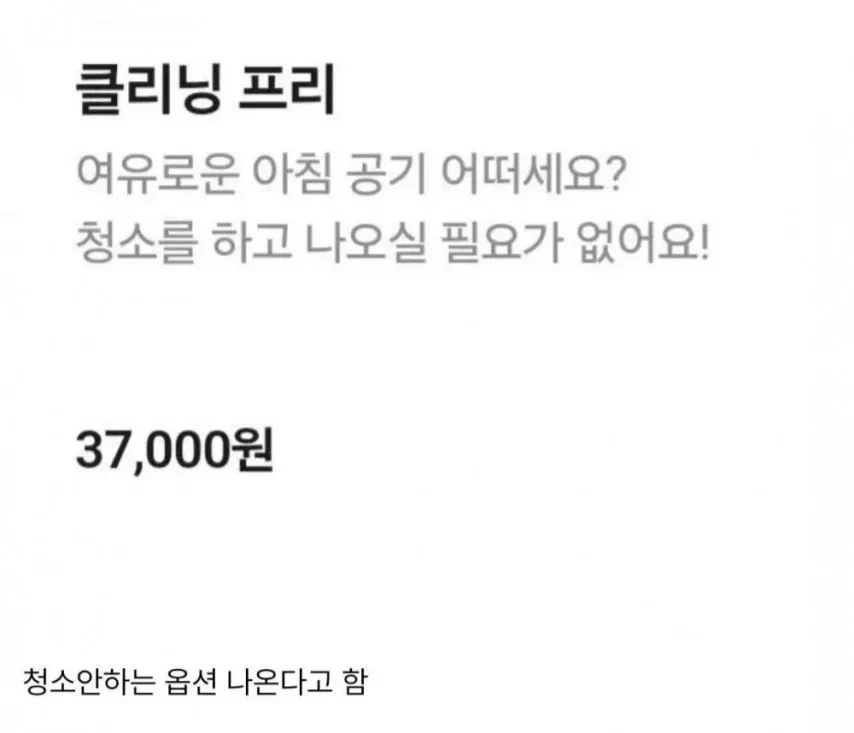 요즘 펜션 옵션 근황