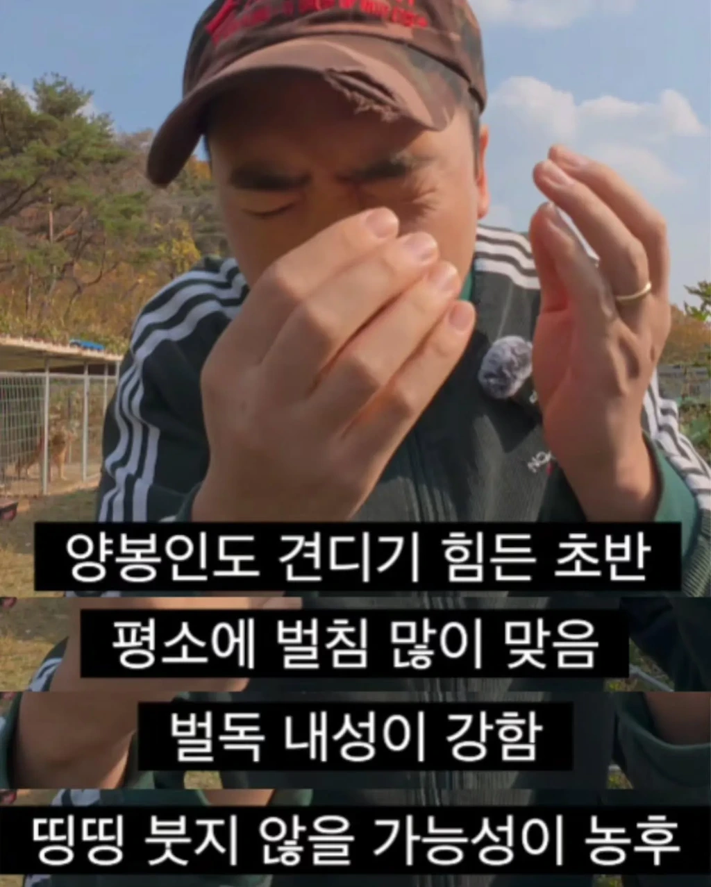 프응의 벌침으로 양주시 공무원 다라이 따라잡기