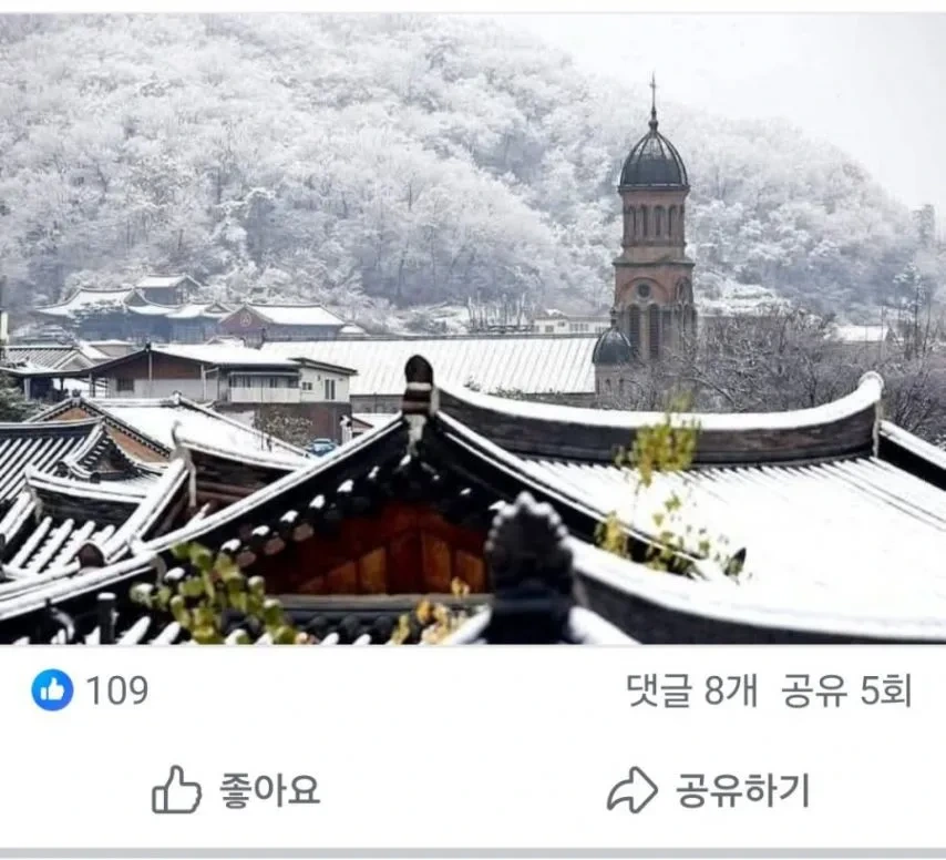 전주 전동성당 욕하는 사람.jpg