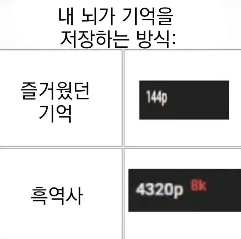 뇌가 기억을 저장하는 방식