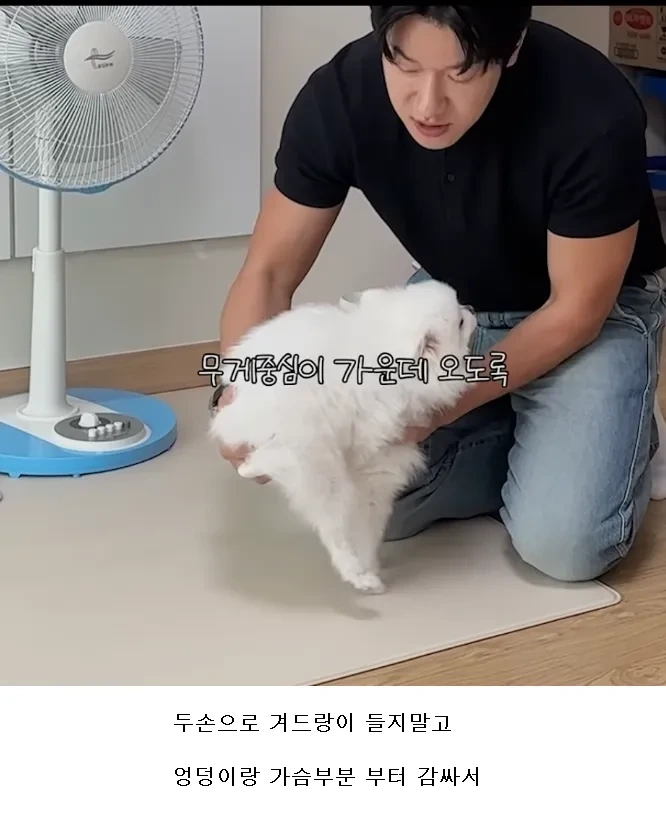 강아지 제대로 안는 법.