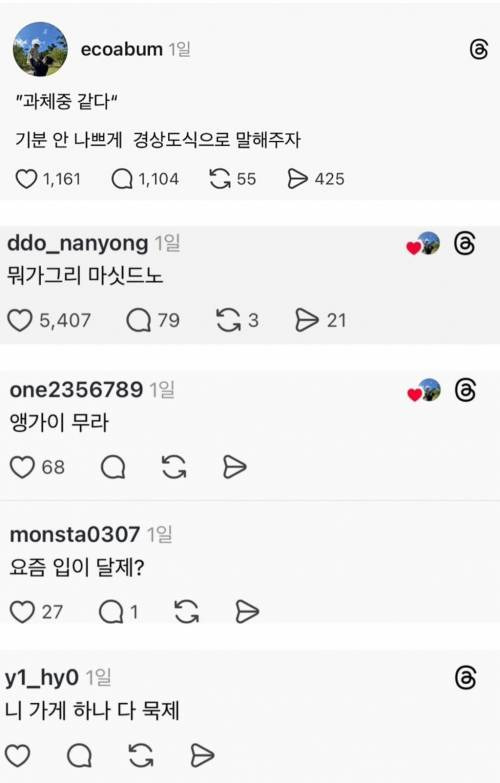 과체중 같다를 기분 안나쁘게 경상도식으로