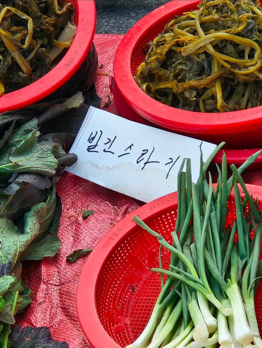 부산 사람만 뜻을 안다는 한글