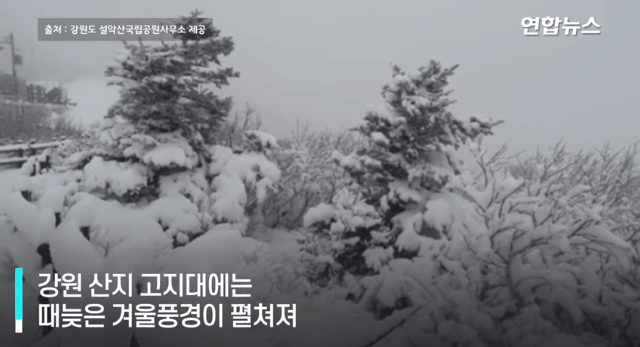 [유머] [기타]
		          10cm 넘는 폭설이 내린 설악산 정상. -  와이드섬