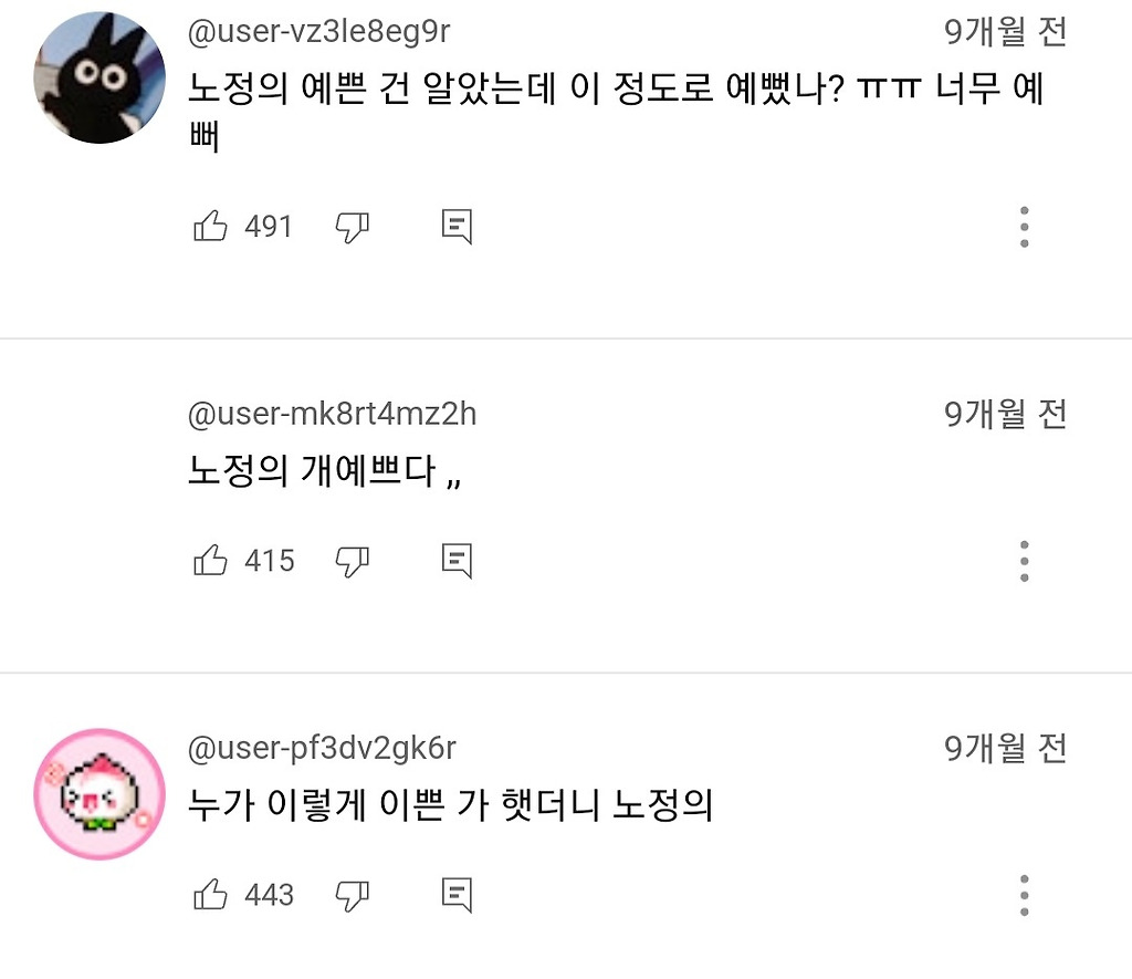 가장 이쁘다고 언급되는 노정의.jpg