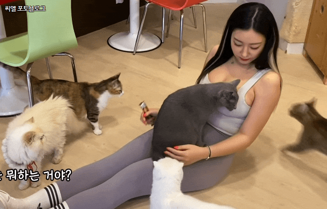 5de460df3499ee6011826db77a042bf5816830d8