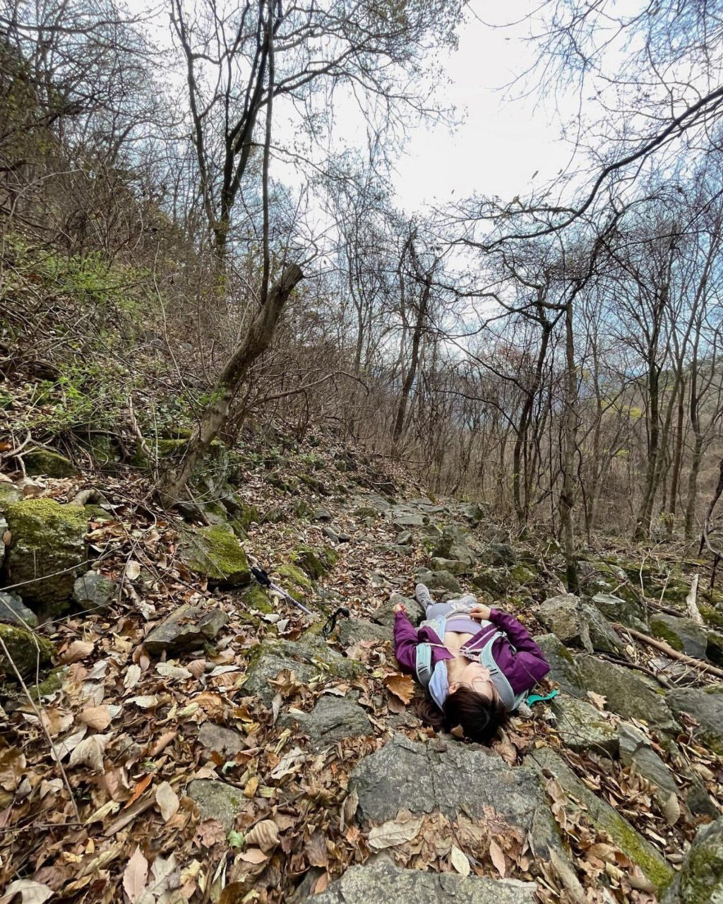 6bbf9c7d5bdc78cf580ffa2c528ade1de1c1d65e