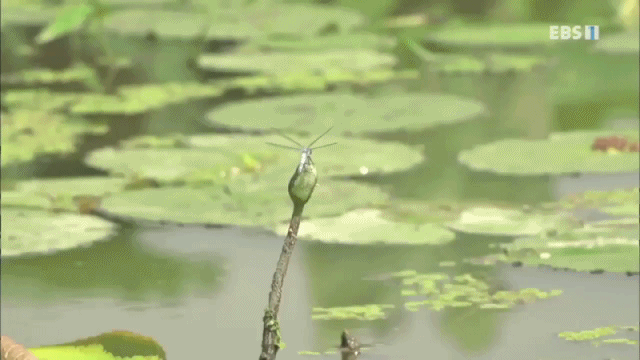 7f2276594f990744277a6c61b988bcfe20fdf8e3