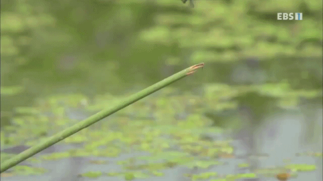 9fd9b6d87e755cdf44228dedb18823b8a70def6a