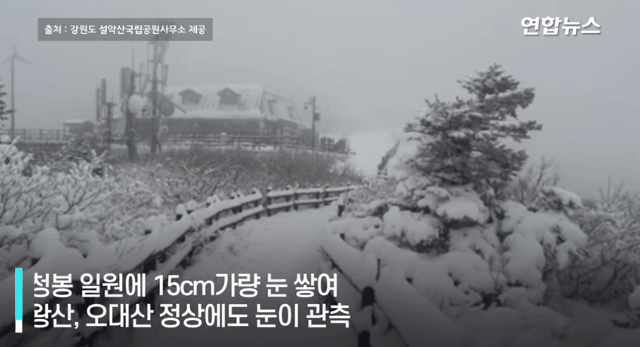 [유머] [기타]
		          10cm 넘는 폭설이 내린 설악산 정상. -  와이드섬