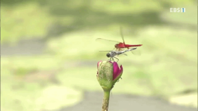 f21ab79700509050b511a32788a7ea5203e08ed2