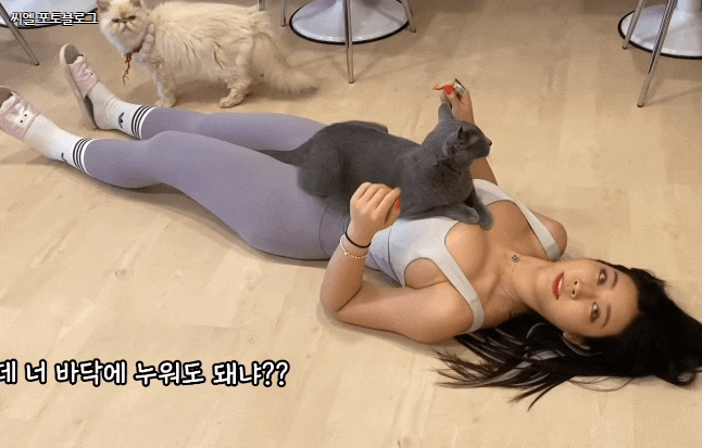 f8c4ec5bb1cf0acab90ceb018f28a1f08c788ac1