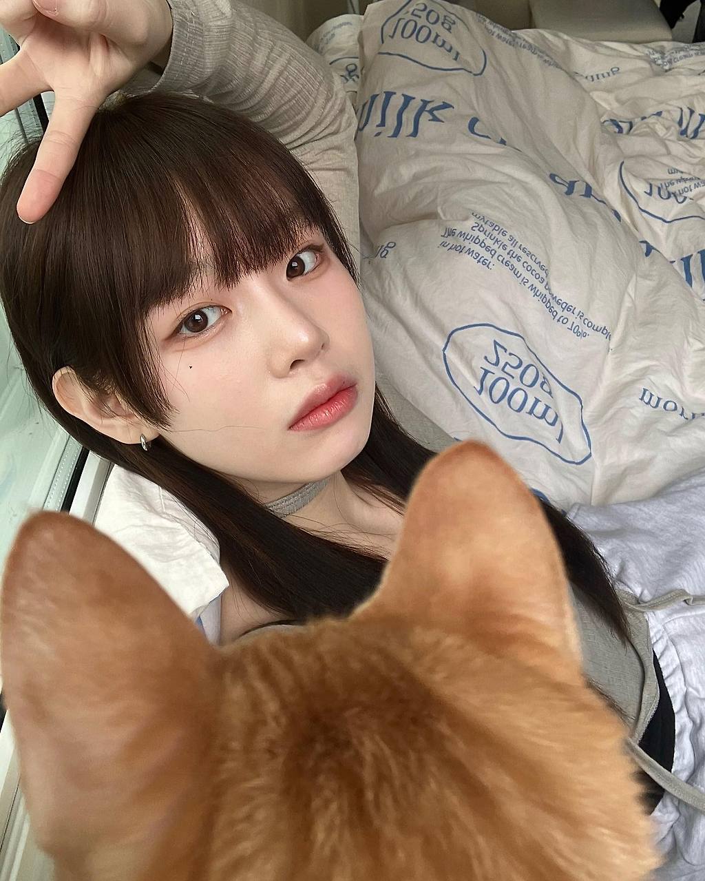 189fbbbc6cbd208fcf4458c5ee0e8be38ee9d24e