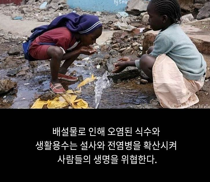 [유머] [감동]             작은 봉지 화장실로 세상을 바꾼 