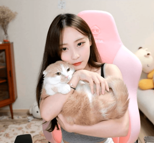 d0c80bae282a10991c00a6f32efe0018cdf7d29b