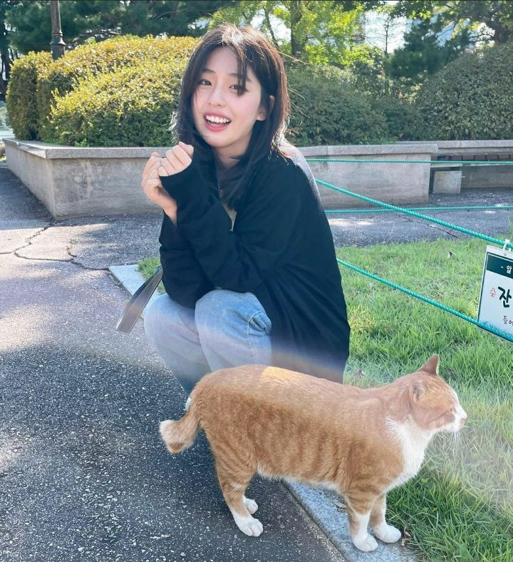 e8544bde1e66dfa0f94f9e79f095d1b6af79309a