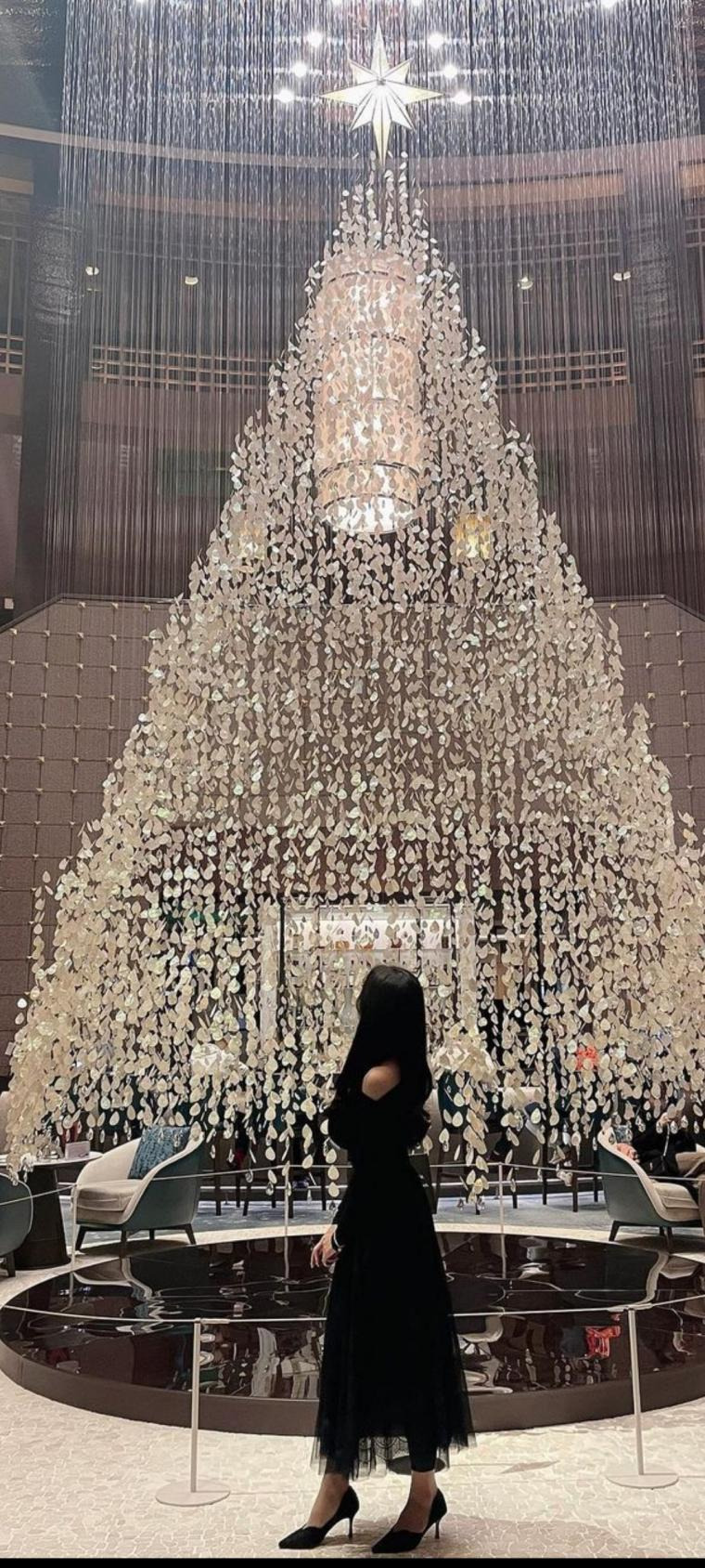 1713267144384504.jpg
