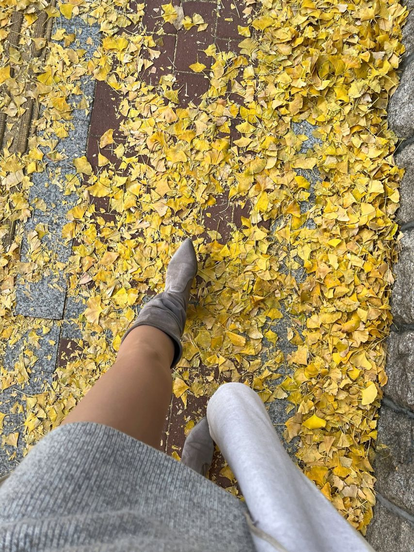 lovelyjoohee 김주희