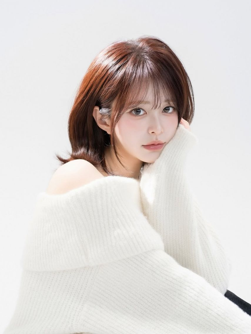 빵귤 뉴 프로필