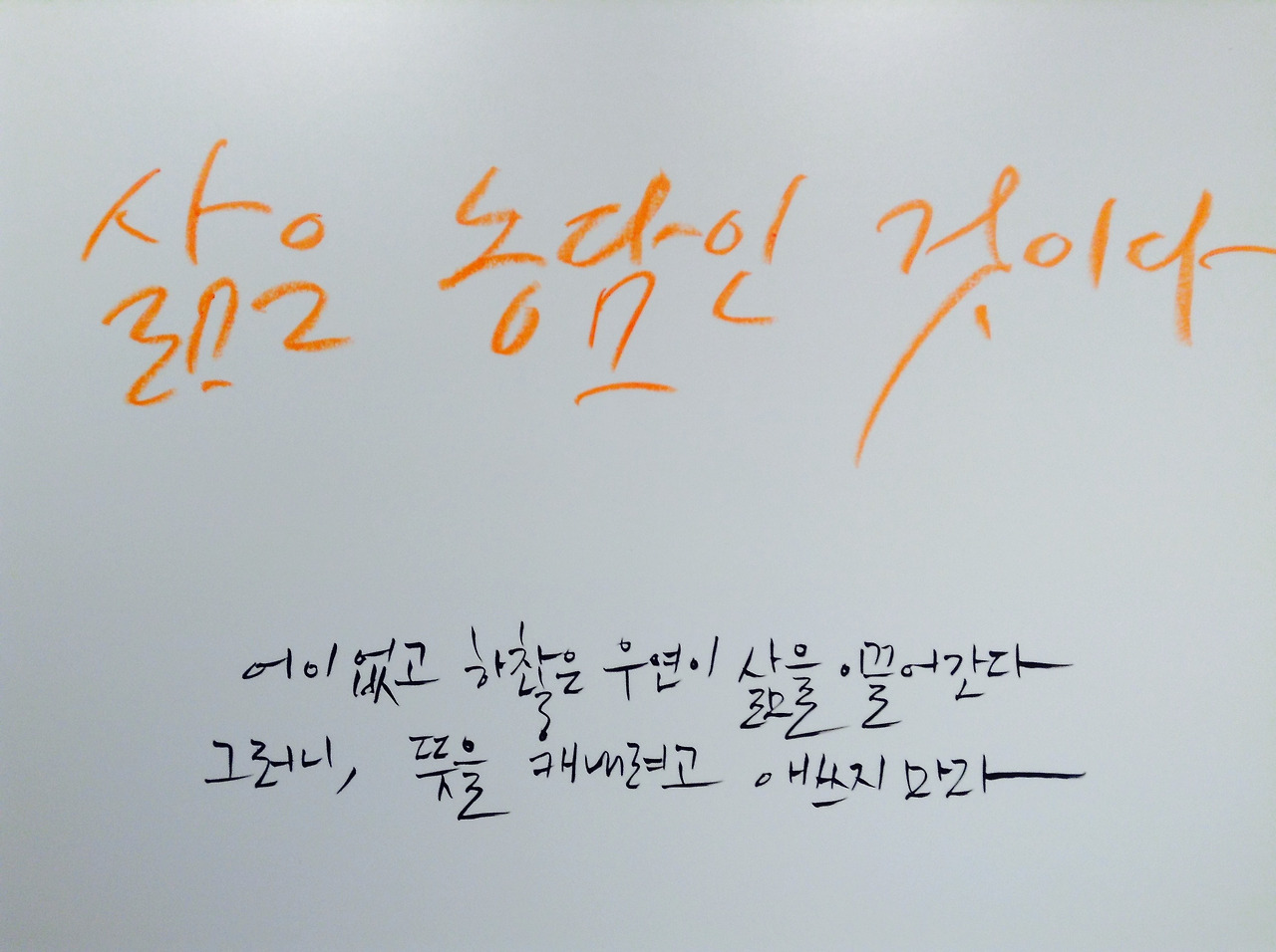 삶은 농담인 것이다