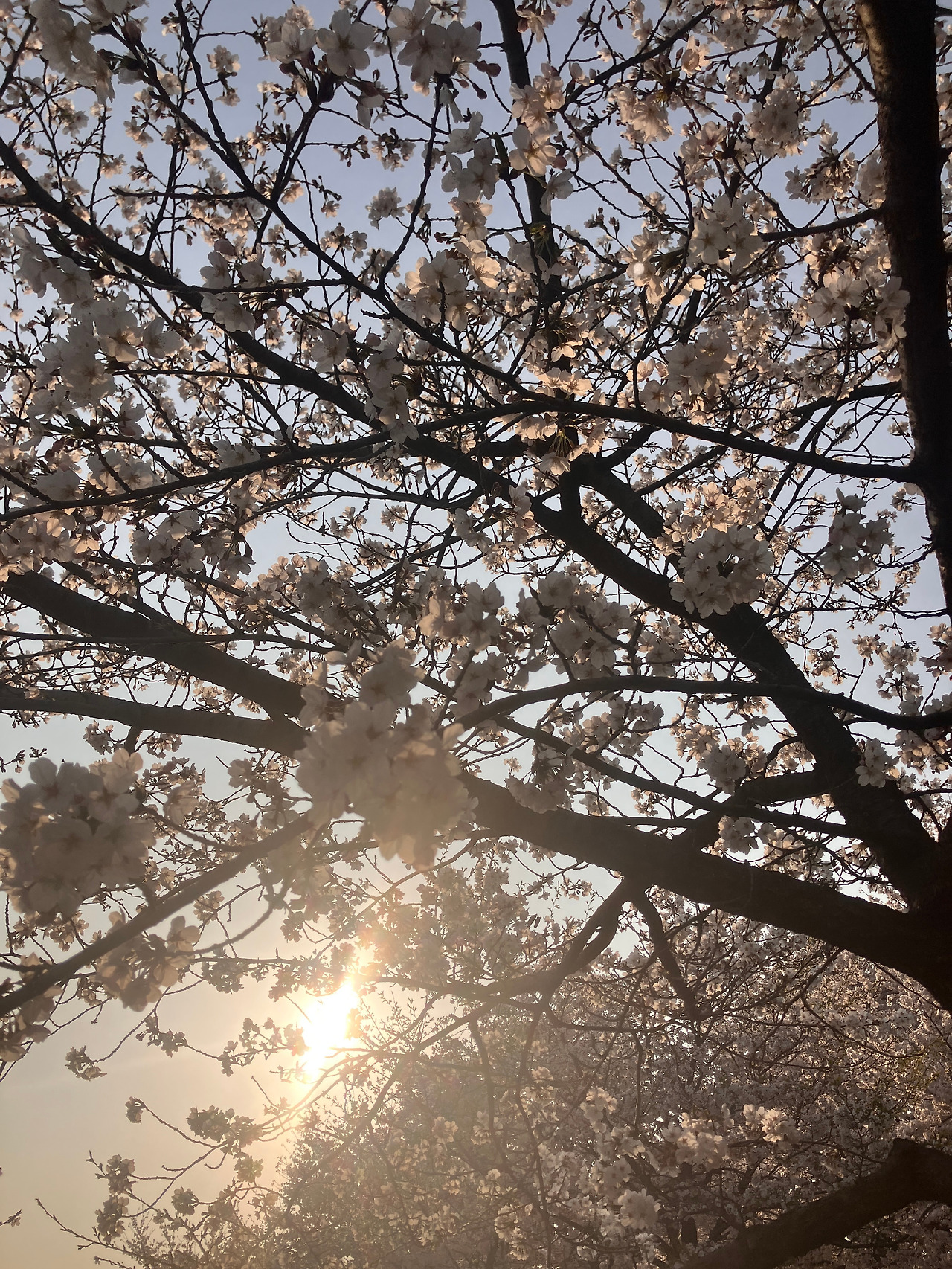 Autumn Pregnancy Yoga - News Directory 3