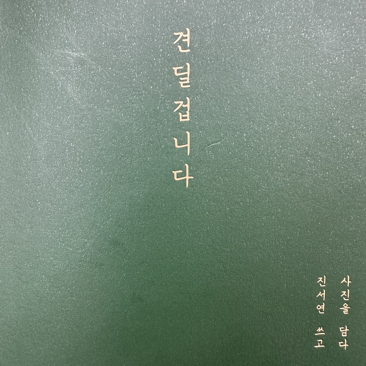 견딜겁니다