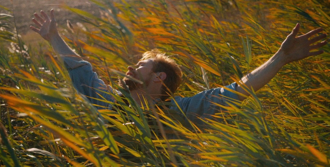 South Dublin Car Brake Attacks: Residents Baffled