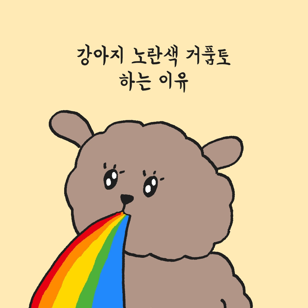강아지 노란색 거품 토하는 이유