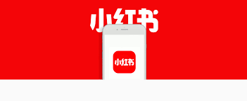 왜 이 SNS는 여자밖에 안 보일까