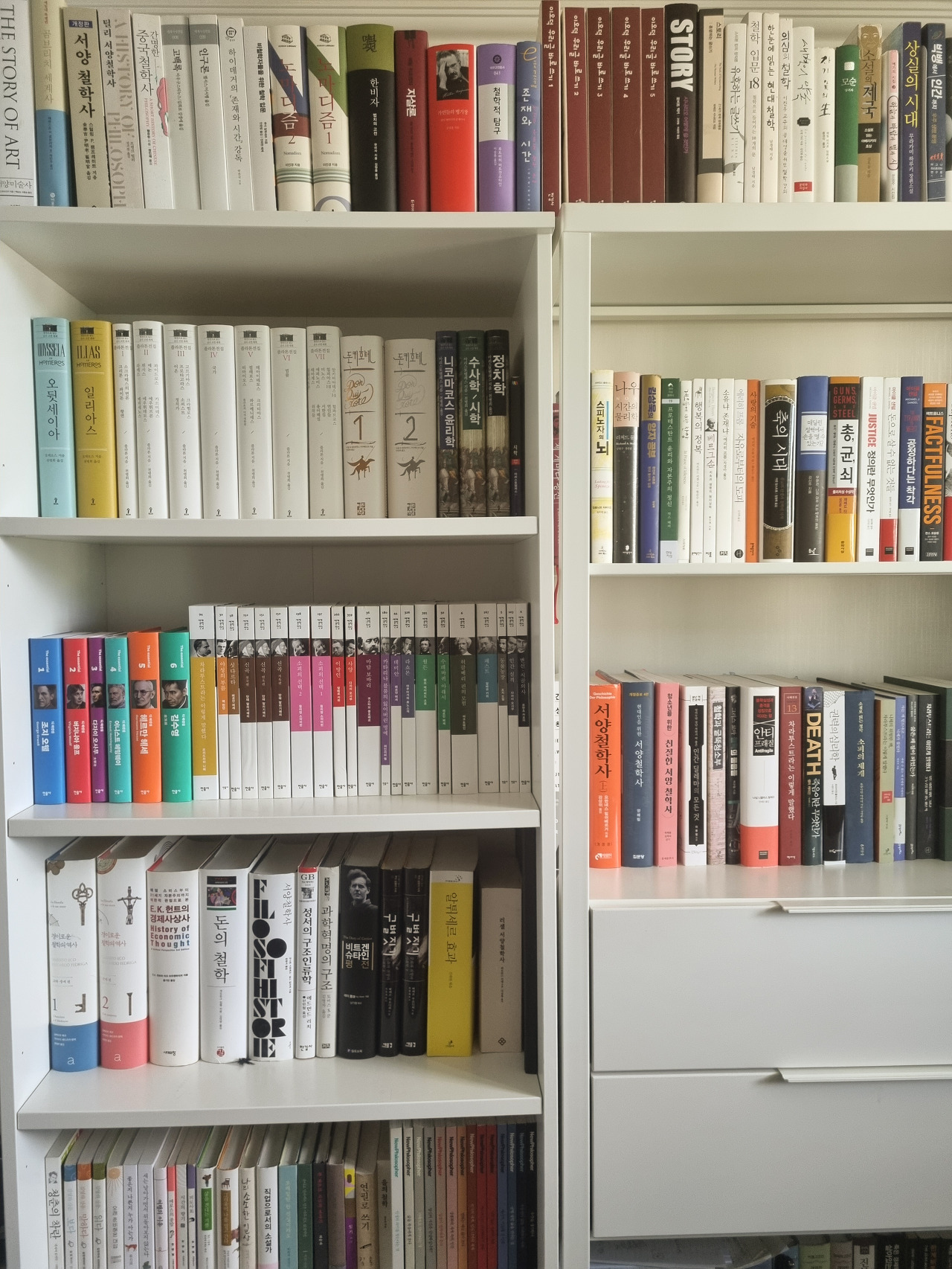 How to Organize Your Bookshelf for Newlywed Home: A Tale of Aesthetic Differences and Marriage