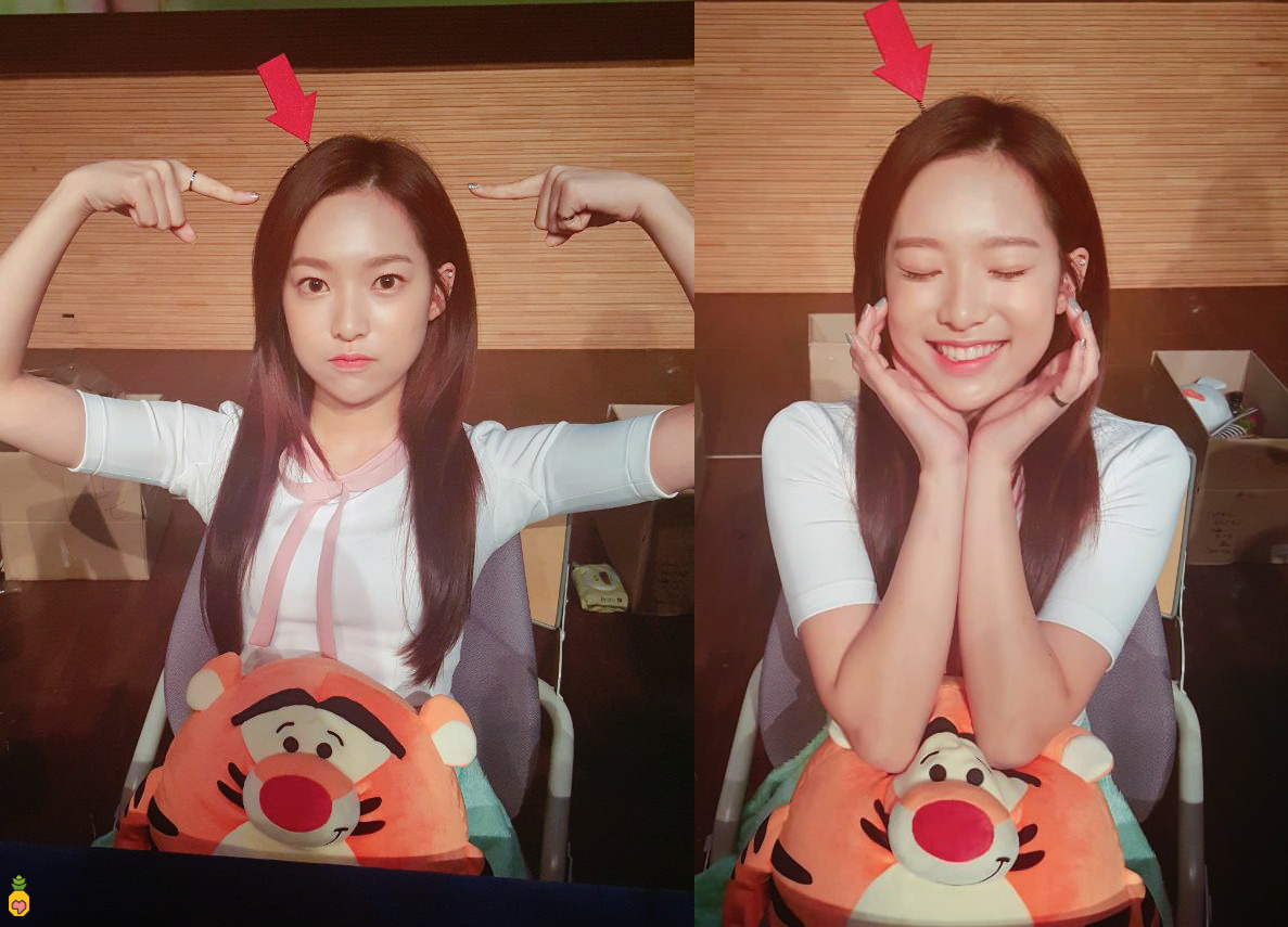 999150335A04253817E809