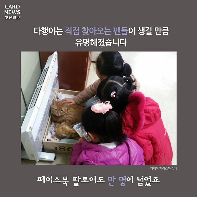  행방불명된 다행이를 찾습니다 | 인스티즈