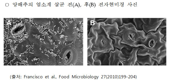 식약처 제공