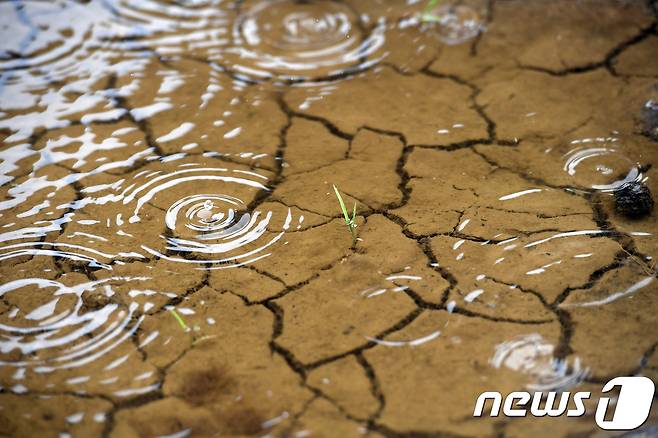뉴스1 자료사진.  © News1