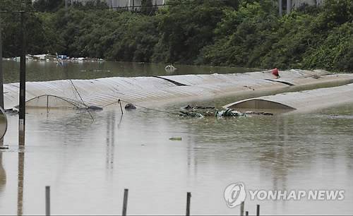 (청주=연합뉴스) 이승민 기자 = 16일 오전 청주시 흥덕구 무심천변 저지대가 폭우로 불어난 하천물에 잠겨 있다. 2017.7.16