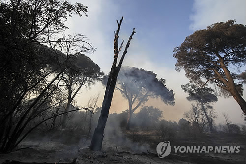 (로마 EPA=연합뉴스)