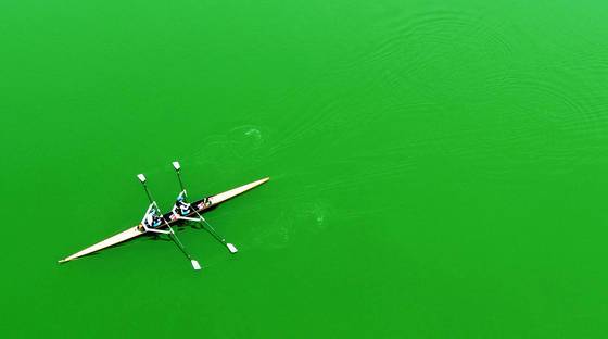 <이달의보도사진상 - 최우수상 > 불볕 더위를 보인 20일 오후 용인시 기흥구 신갈저수지에서 조정경기 선수들이 녹색 물감을 풀어 놓은 듯 물이 온통 초록색으로 변한 녹조호수 위에서 훈련을 하고 있다. 사진기자협회.