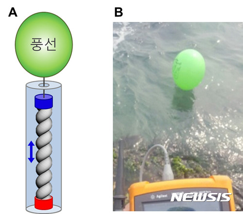 【대전=뉴시스】 연구팀은 경포대에서 트위스트론 실에 고무풍선을 매달아 전기 에너지가 생산되는지를 실험했다. 그 결과 파도가 칠 때마다 움직이는 풍선에 의해 트위스트론 실이 수축이완하며 전기에너지가 생산됐다.