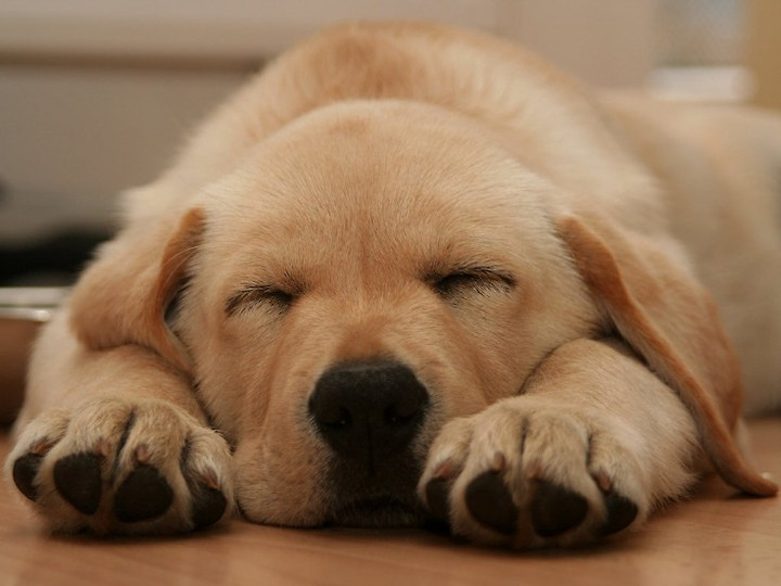 나라가 허락한 유일한 마약 | 인스티즈