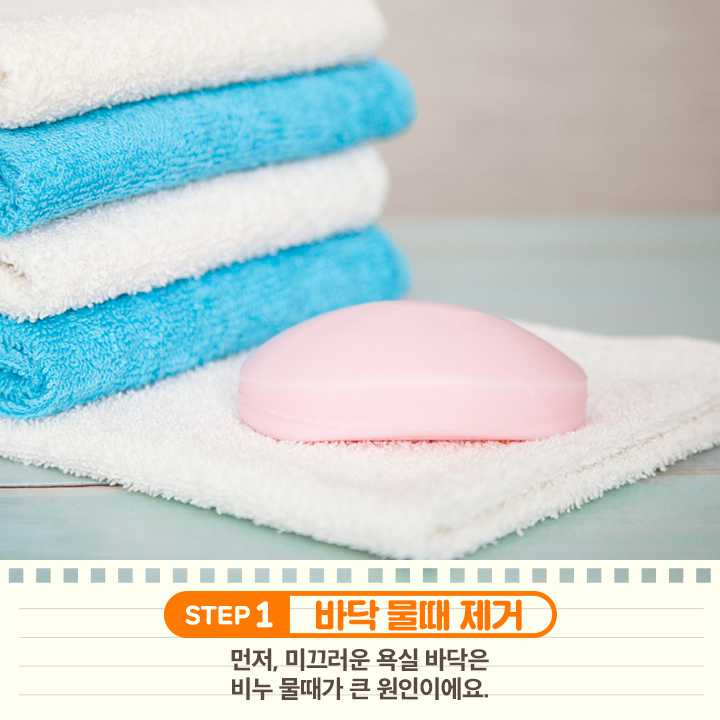 물때따라 이미지