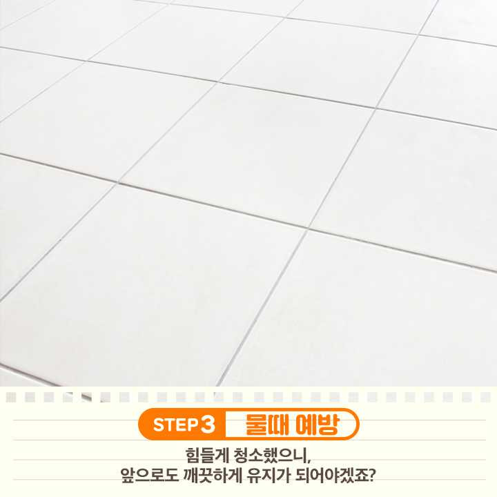 물때따라 이미지